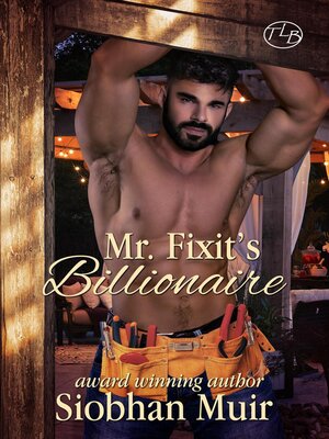 cover image of Mr. Fixit's Billionaire